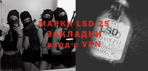 ГАЛЛЮЦИНОГЕННЫЕ ГРИБЫ Коряжма