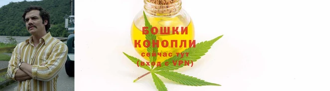 ПСИЛОЦИБИНОВЫЕ ГРИБЫ Белая Калитва