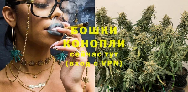 ГАЛЛЮЦИНОГЕННЫЕ ГРИБЫ Коряжма
