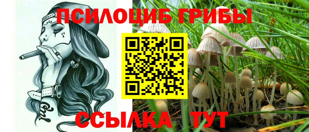 Красный Сулин  Псилоцибиновые грибы мухоморы  Псилоцибиновые грибы Magic Shrooms  Вход с VPN 